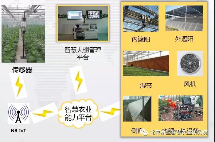 智慧农业技术解决方案解析